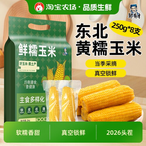 东北黄糯玉米棒10支真空装低脂黄糯大棒甜真空软糯包装铝箔黄金