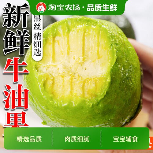 哈斯巨无霸牛油果新鲜水果当季整箱包邮熟透即食一级鳄梨奶油