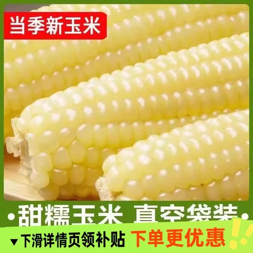 2025年头茬东北白糯玉米甜糯粘玉米真空装非转基因黏苞米粗粮代餐