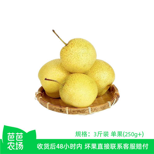 【芭芭农场兑换专享】雪花梨3斤单果250g+