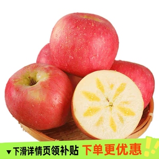 正宗陕西延安新洛川苹果一箱红富士宝宝辅食脆甜好吃孕妇整箱发货