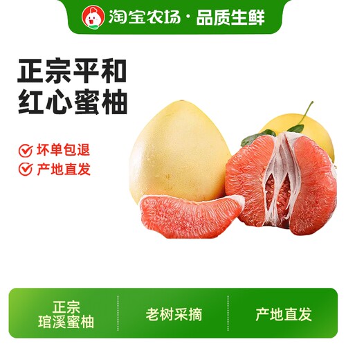 红心新鲜柚子福建平和红肉