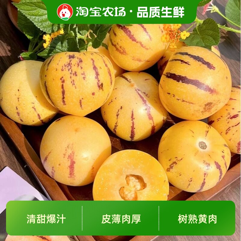 人参果新鲜水果云南石林黄心圆果树上熟七彩果应当季整箱包邮鲜果