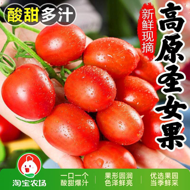 圣女果新鲜小番茄樱桃小西红柿生吃应季水果樱桃小番茄自提自然熟