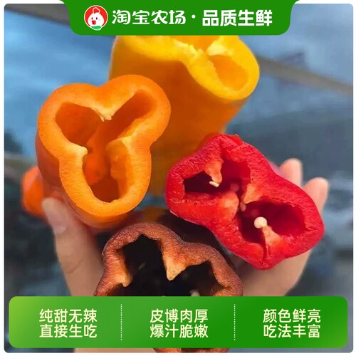 零食甜椒维他彩椒甜椒不辣生吃