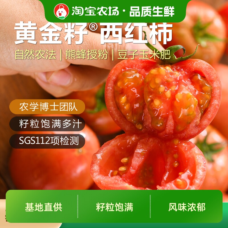 黄金籽西红柿新鲜现摘自然成熟老品种水果番茄柿子3-5斤