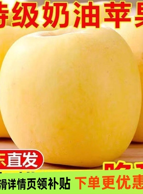 正宗山东烟台黄金奶油富士苹果冰糖心新鲜水果当季现摘产地直发