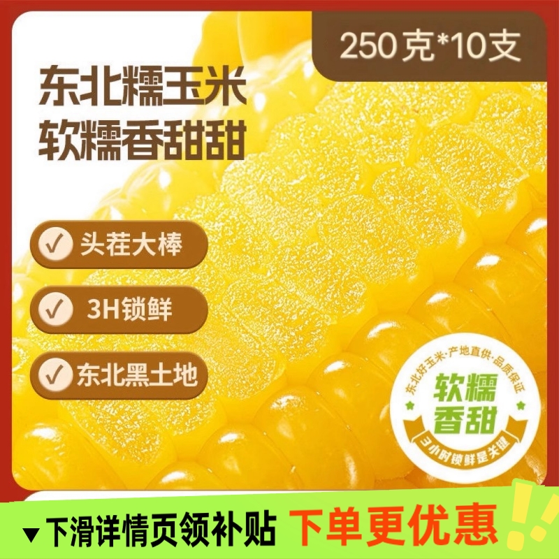 东北头茬糯玉米3小时锁鲜0添加黑土地种植真空包装锁鲜美味好玉米