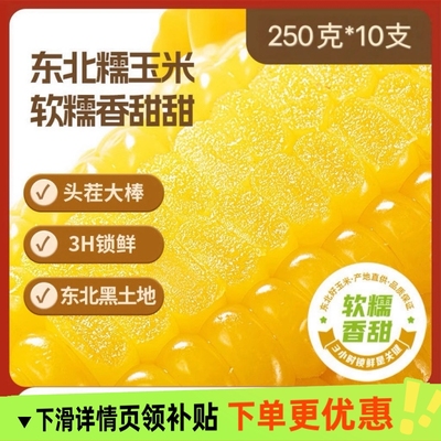 东北头茬糯玉米3小时锁鲜0添加黑土地种植真空包装锁鲜美味好玉米