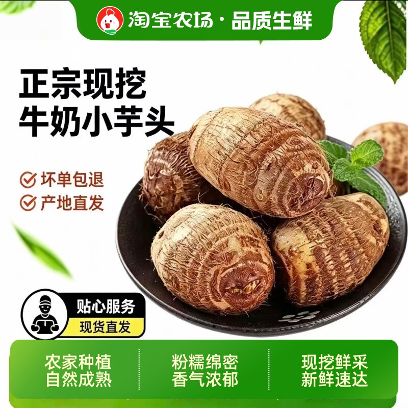 新鲜云南小芋头高山现挖毛芋头牛奶小奶芋艿香糯产地直发软糯农场图片
