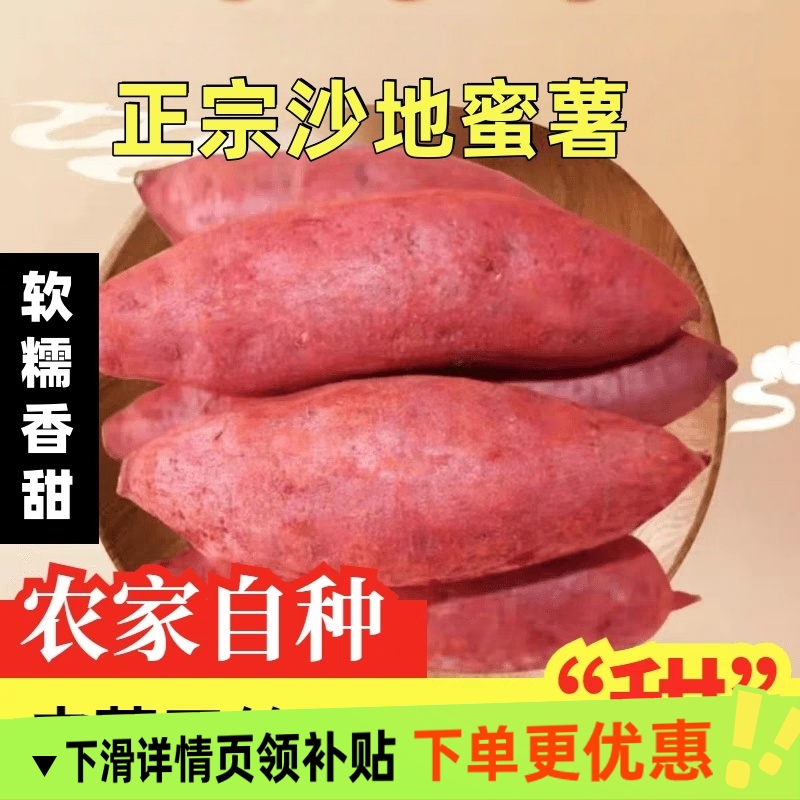 现挖沙地红蜜薯黄心装沙地红薯糖心小香薯粉糯甜心新鲜地瓜