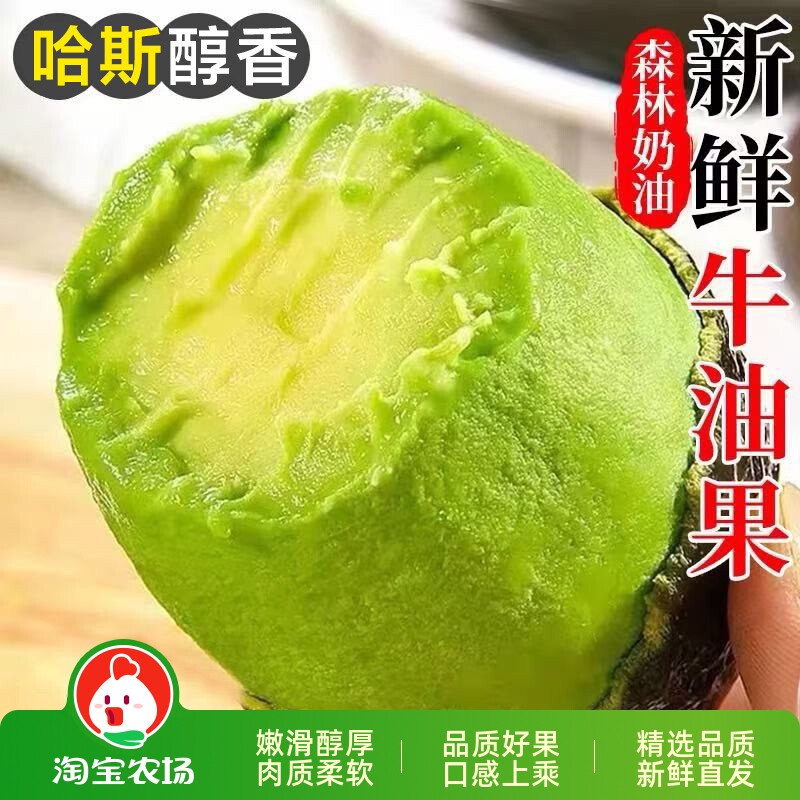 哈斯牛油果新鲜水果即食当季整箱包邮孕妇一级鳄梨奶油香鲜果农场