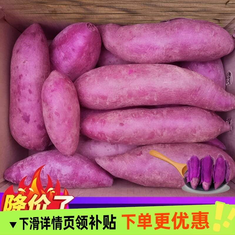 2026紫薯红薯新鲜农家自种沙地3/5/9斤紫罗兰蜜薯糖心甜番薯地瓜