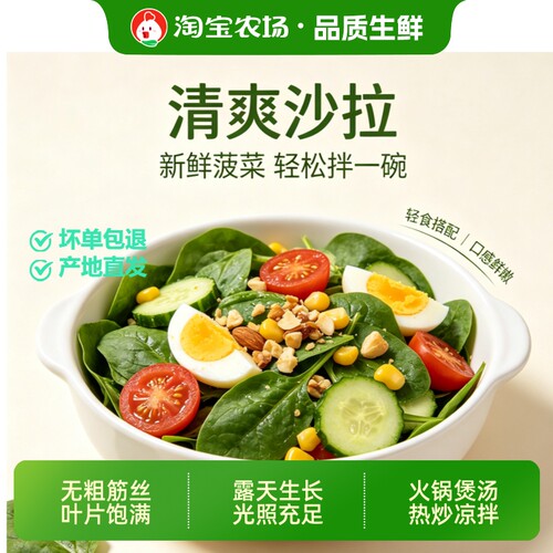 山东新鲜菠菜根红叶绿口感嫩滑