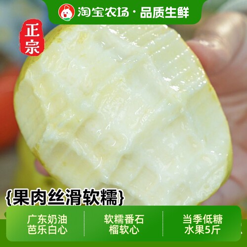 广东奶油芭乐白心软糯番石榴