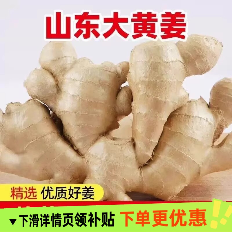 山东大姜老姜风干新鲜图片