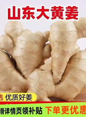 正宗山东大姜老姜风干新鲜农家生姜月子干姜种植姜块大黄姜食用