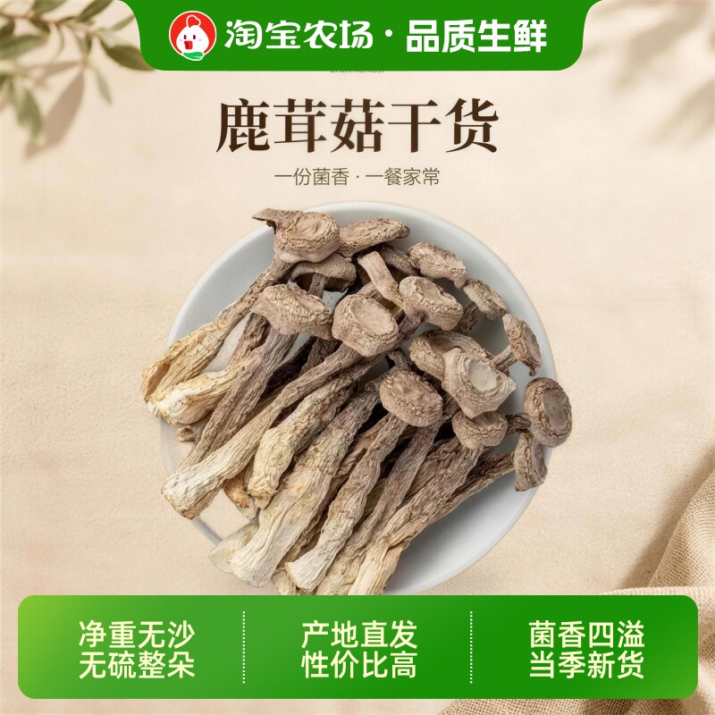 5A鹿茸菇干货500g云南特产脆姑蘑菇香菇脆脆菇类菌菇野生新鲜生鲜