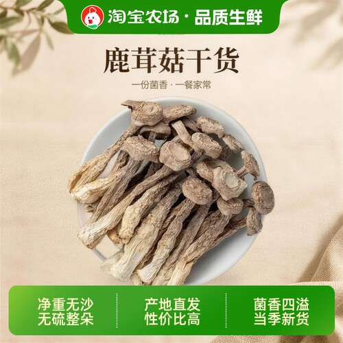 滋补云南菌菇鹿茸菇脆脆菇爆炒