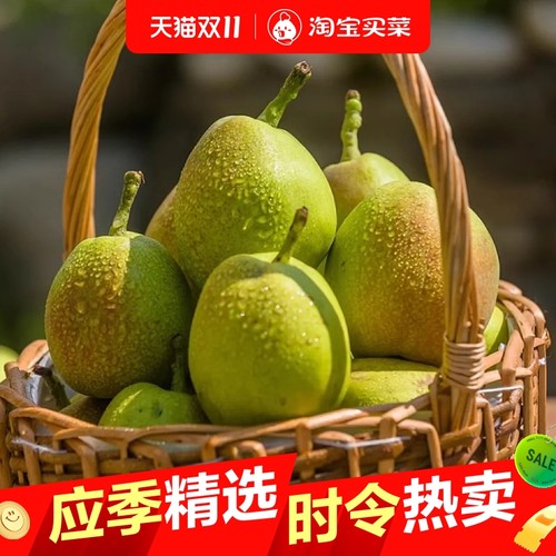自然搭档新疆库尔勒香梨皮薄核小梨中王子新鲜水果特级果