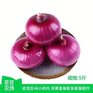 【芭芭农场兑换专享】紫皮洋葱5斤装 单果150g+