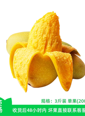 【芭芭农场兑换专享】金煌芒果3斤装单果200g+