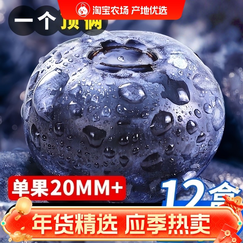 云南正宗新鲜巨无霸蓝莓营养水果现摘现发脆甜多汁无核孕妇水果,水产肉类/新鲜蔬果/熟食,蓝莓,淘宝优惠券,粉丝福利购,淘宝优惠卷