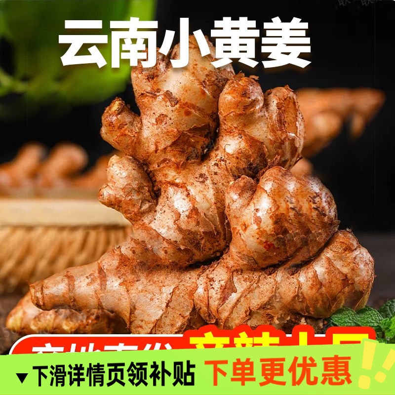 2025正宗云南小黄姜新鲜生姜现挖高山沙姜老姜土姜蔬菜农家自种