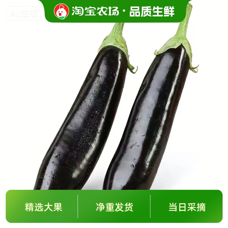 新货东北现摘新鲜茄子紫色黑色绿把茄子净重散东北茄子