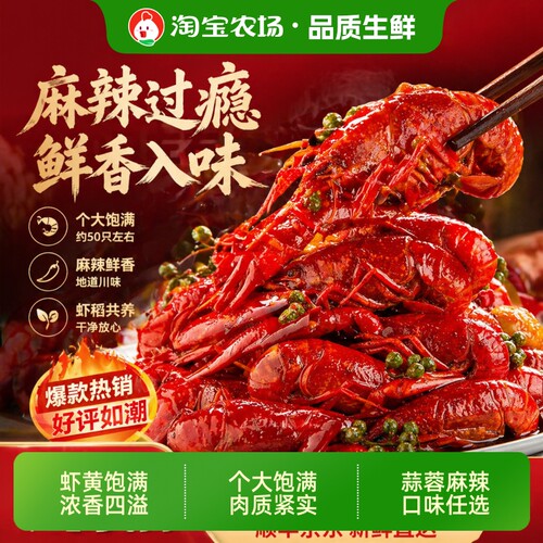 麻辣/蒜蓉小龙虾拒绝选择困难！