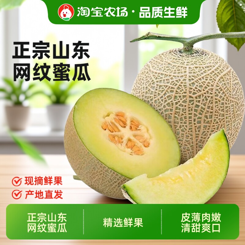 玫珑网纹蜜瓜山东特产 正宗冰淇淋蜜瓜当季新鲜甜瓜水果整箱