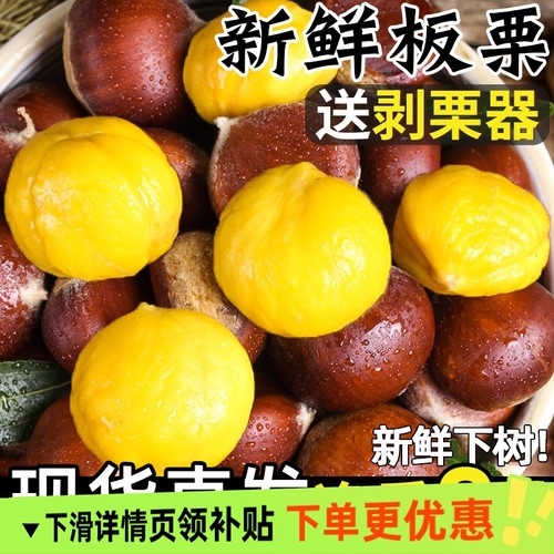 辽宁丹东板栗新鲜软糯香甜