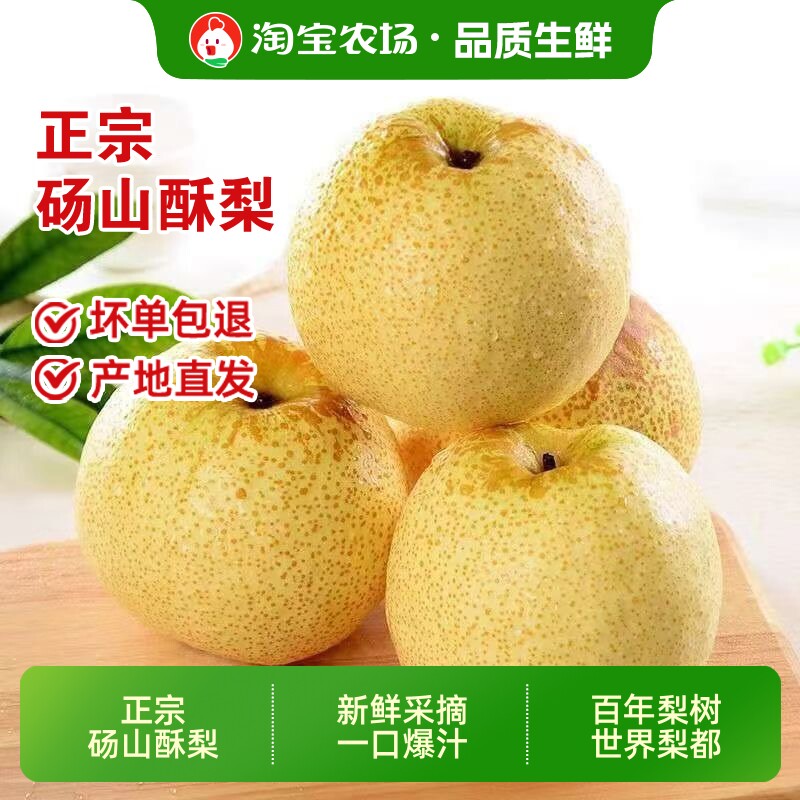 2026年正宗安徽砀山酥梨梨当季新鲜簿皮梨子包邮爆甜多汁农场直发