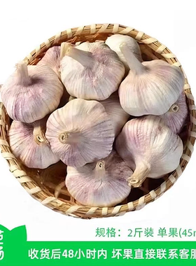 【芭芭农场兑换】紫皮大蒜2斤装单果4.5CM+