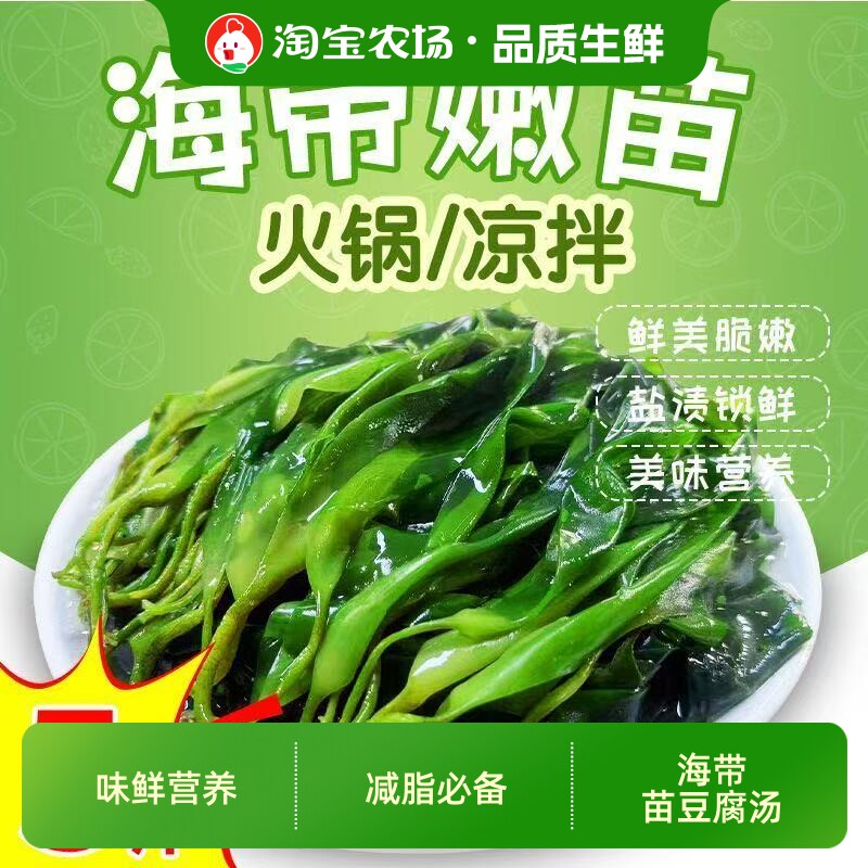 海带苗嫩苗特级新鲜1斤装小海凉拌菜火锅食材商用裙带菜即食美味图片