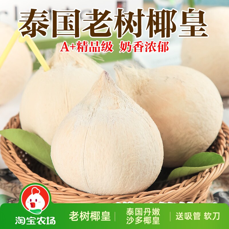 泰国进口牛奶椰皇新鲜当季孕妇水果椰青奶椰香水老椰子肉小奶椰子