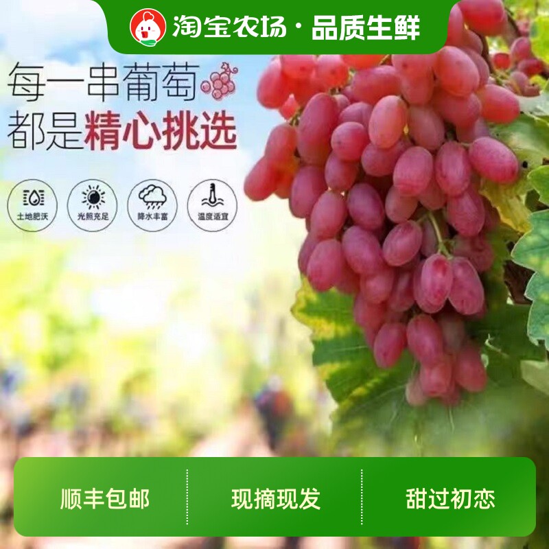 顺丰包邮无籽红提克伦生葡萄净重新鲜水果提子孕妇小孩水果