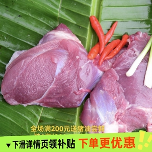 花猪女神贺桂香宁乡土花猪