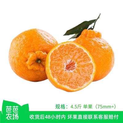 【芭芭农场】不知火丑橘4.5斤单果75mm+