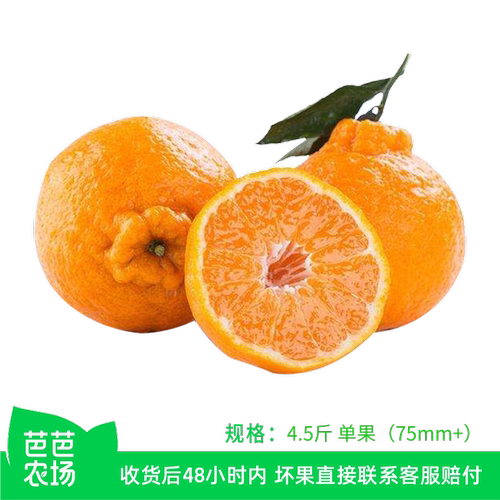 【芭芭农场】不知火丑橘4.5斤单果75mm+