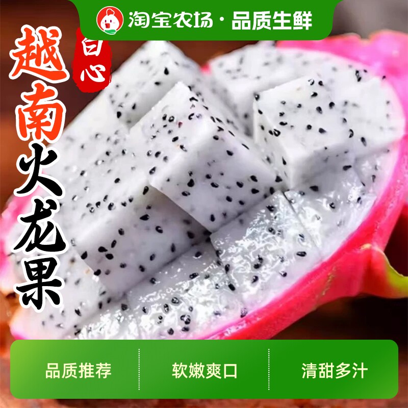 越南白心火龙果应季批发当季进口整箱水果新鲜非白肉红心保存农场