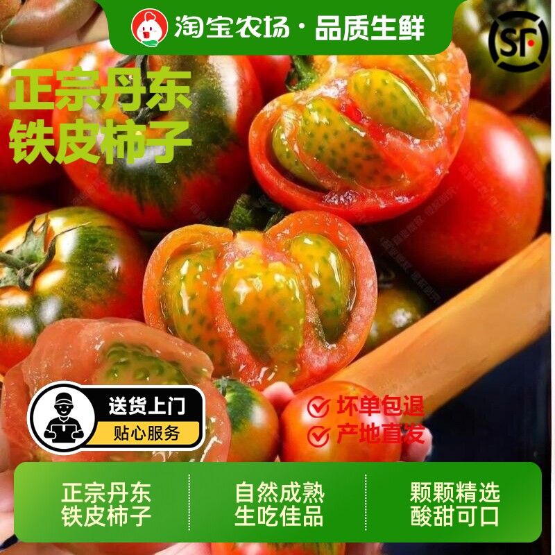 正宗丹东铁皮草莓柿子碱地即食新鲜自然熟绿腚番茄水果西红柿农场