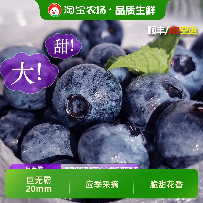 顺丰京东云南产地直发蓝莓新鲜水果当季蓝梅鲜果孕妇水果应季甄选