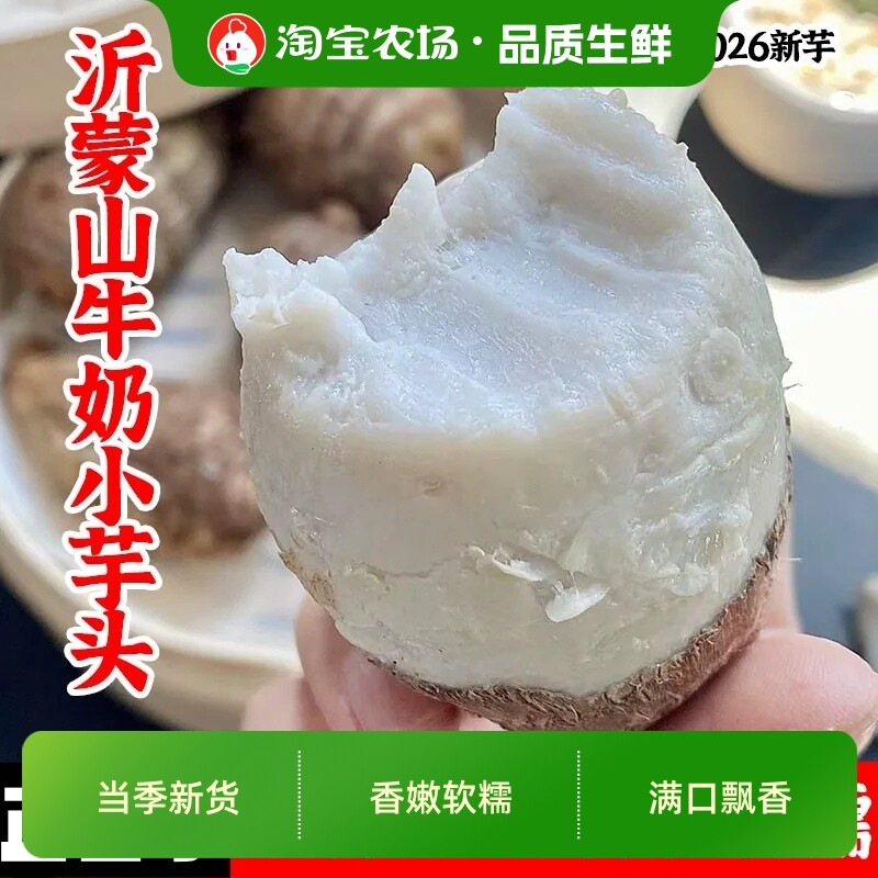 正宗牛奶小芋头荔浦芋头粉糯农家种植红芽芋头毛芋头山东新鲜香芋