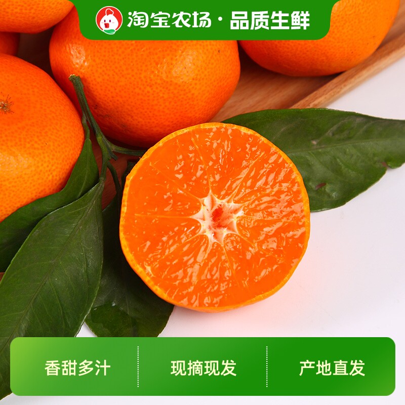 8A临海涌泉蜜桔宫川橘子当季新鲜水果台州柑橘农场现摘直发超市