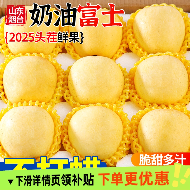 山东烟台黄金奶油富士苹果新鲜水果当季正宗奶油苹果现摘2025新果