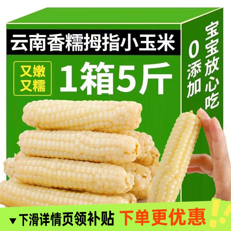 拇指玉米西双版纳香糯手指玉米正宗拇指小玉米新鲜真空宝宝辅食