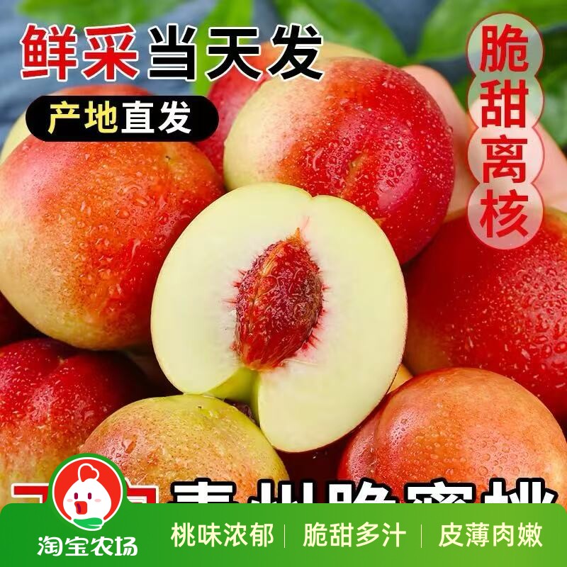 正宗山东青州蜜桃冬桃冬雪蜜桃新鲜当季现摘脆桃毛桃孕妇水果桃子