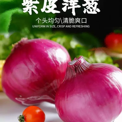 山东深紫色洋葱新鲜3.5斤装现挖多汁当季香味紫皮自种保存食用