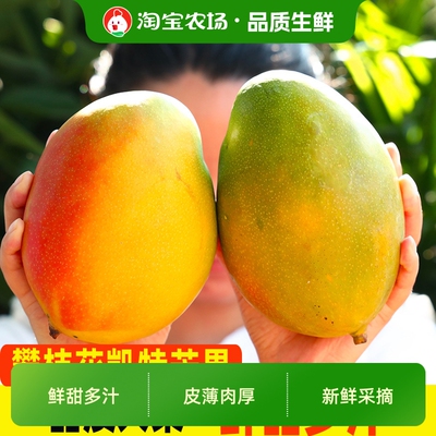 宗攀枝花凯特芒果水果大甜新鲜当季现摘多规格自提配送